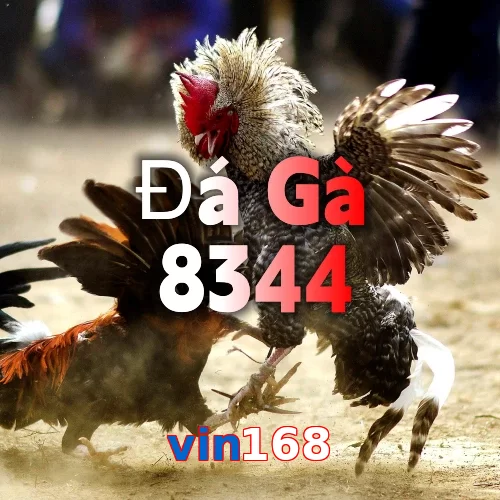 vin168